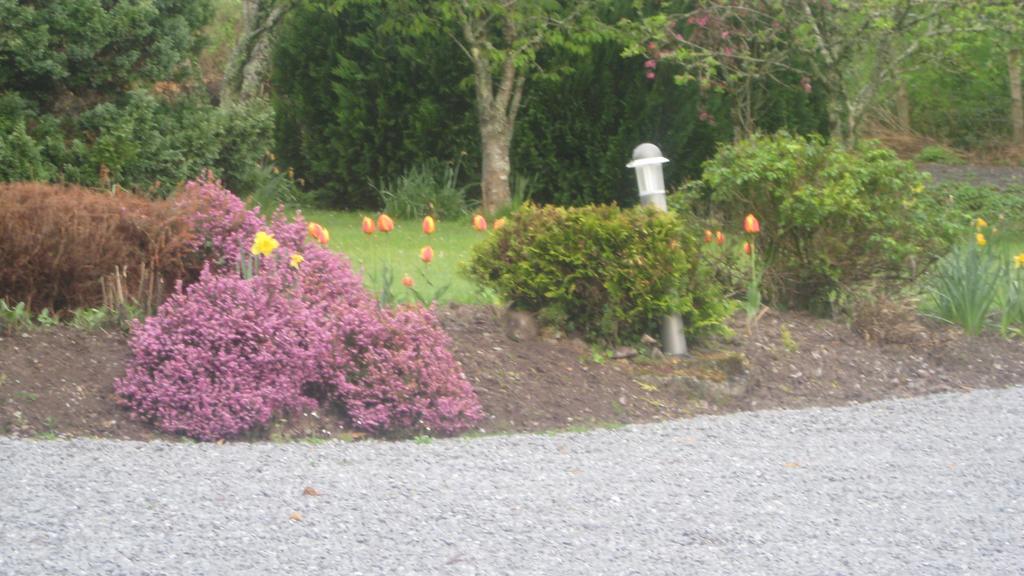 An Bruachan B&B Kenmare Exteriör bild